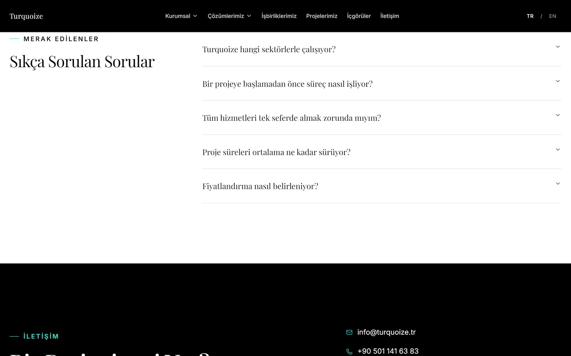 Turquoize ana sayfasındaki sıkça sorulan sorular bölümü
